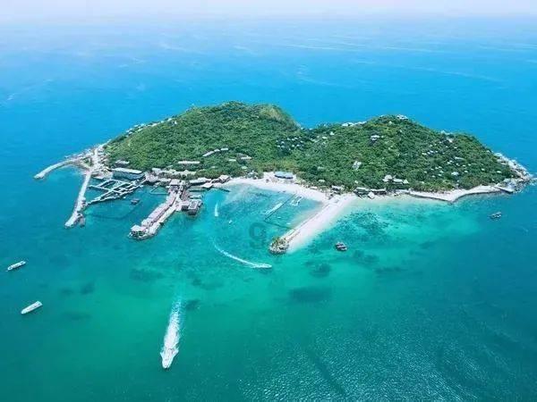 春节买车回家过年 启源A07对比海豹DM-i 18万级主流家轿该选谁?